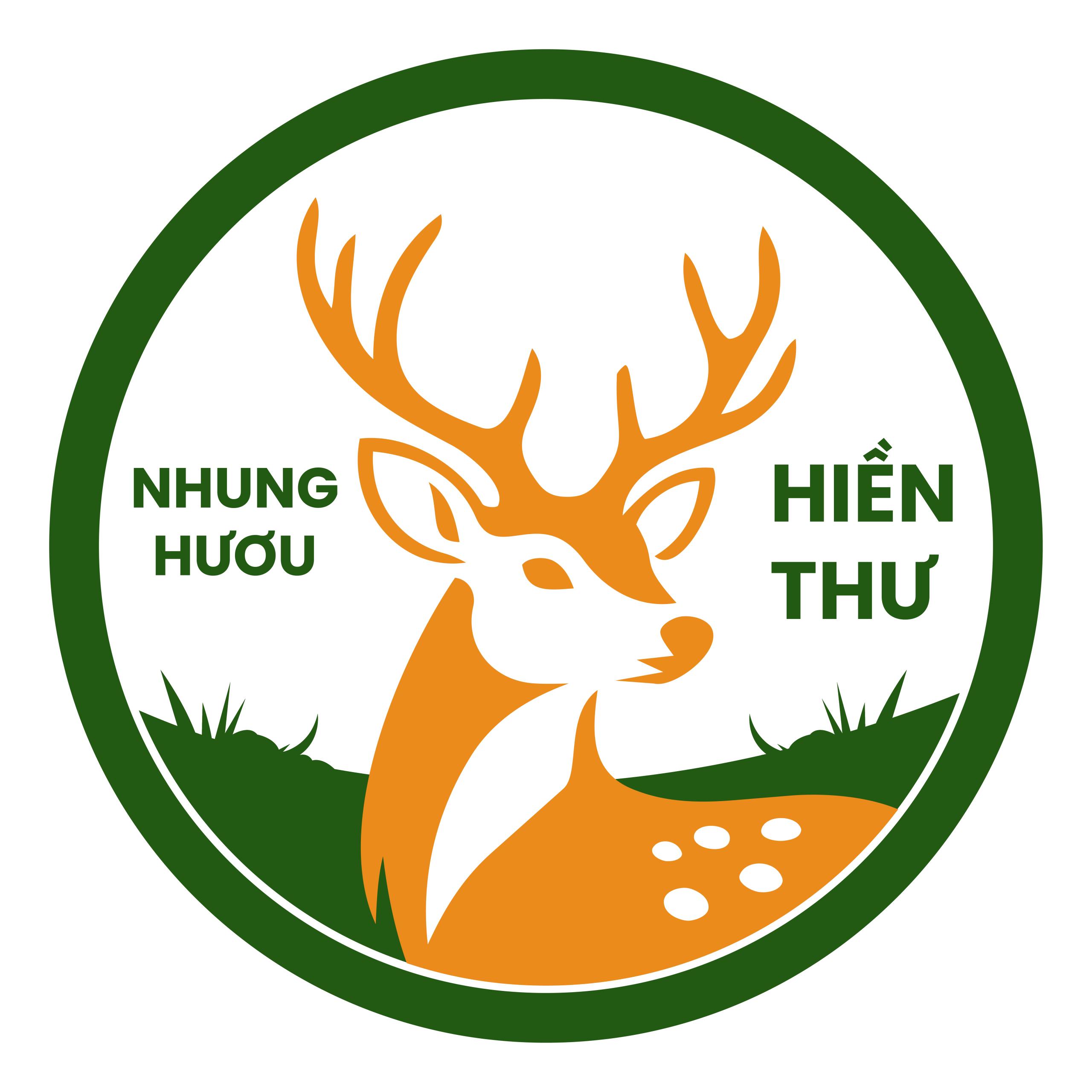 Nhung Hươu 
